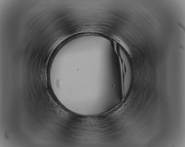 X0000091240980200709061536