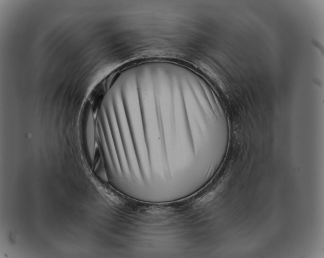 X0000091240981200709061536