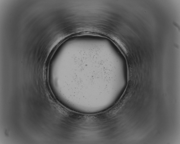 X0000091240983200709061536
