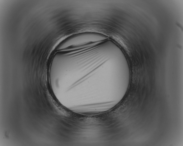 X0000091240984200709061536