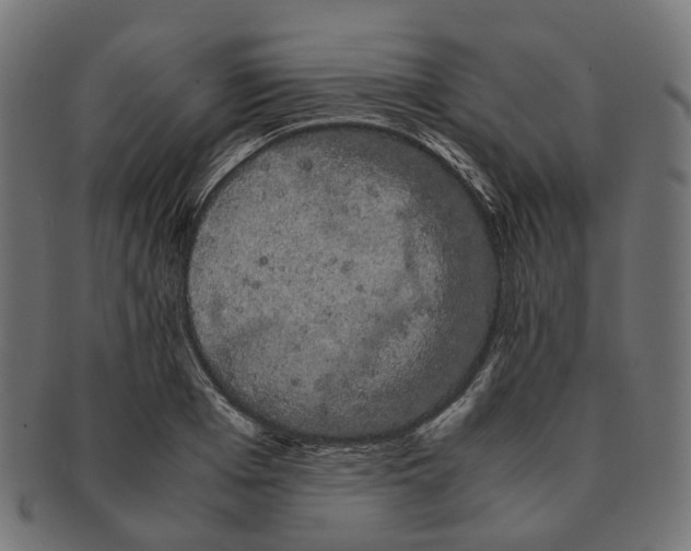 X0000091240985200709061536