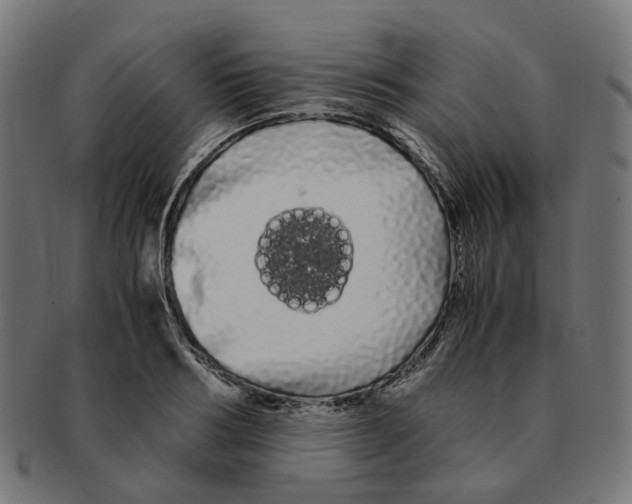 X0000091240986200709061536