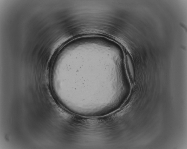 X0000091240987200709061536