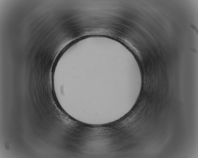 X0000091240988200709061536