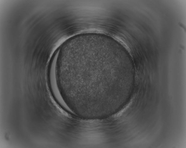 X0000091240989200709061536