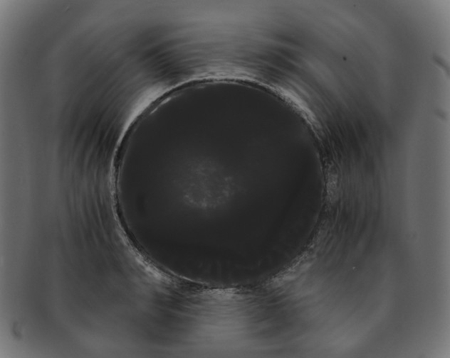 X0000091240990200709061536