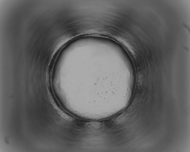 X0000091240991200709061536