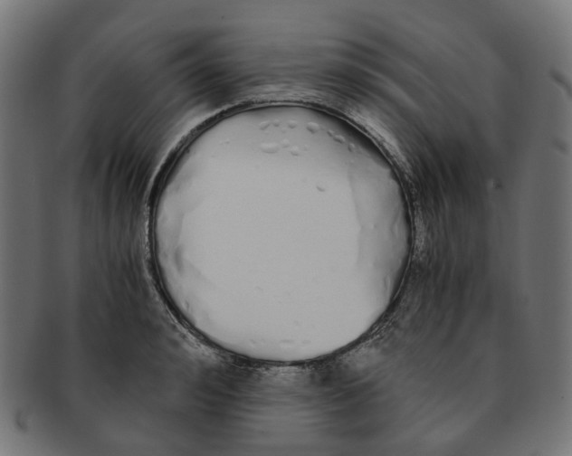 X0000091240992200709061536