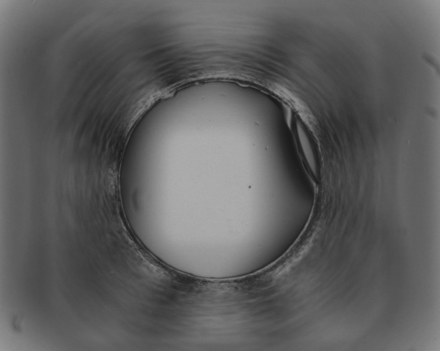 X0000091240993200709061536