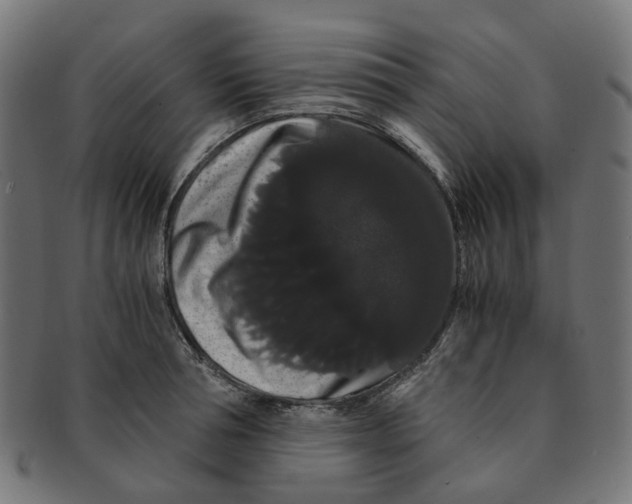 X0000091240994200709061536