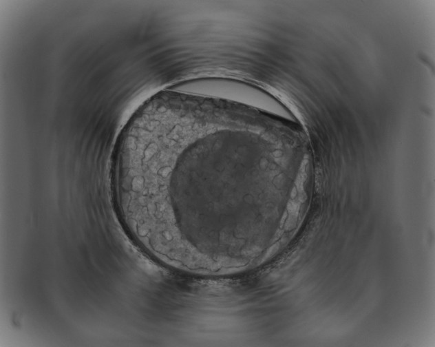 X0000091240995200709061536