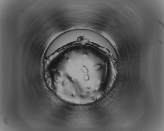 X0000091240996200709061536