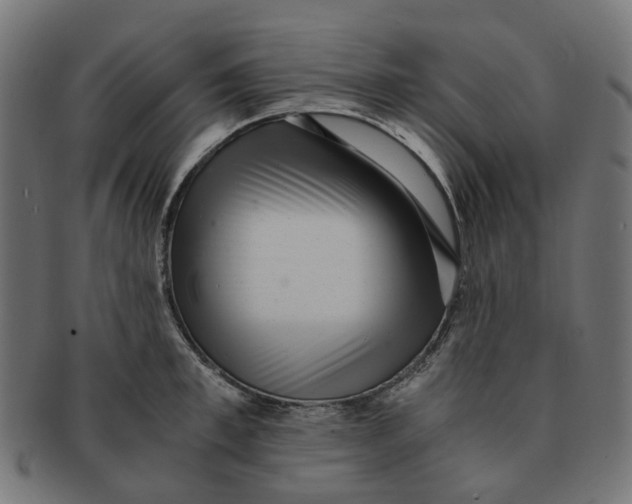 X0000091240997200709061536