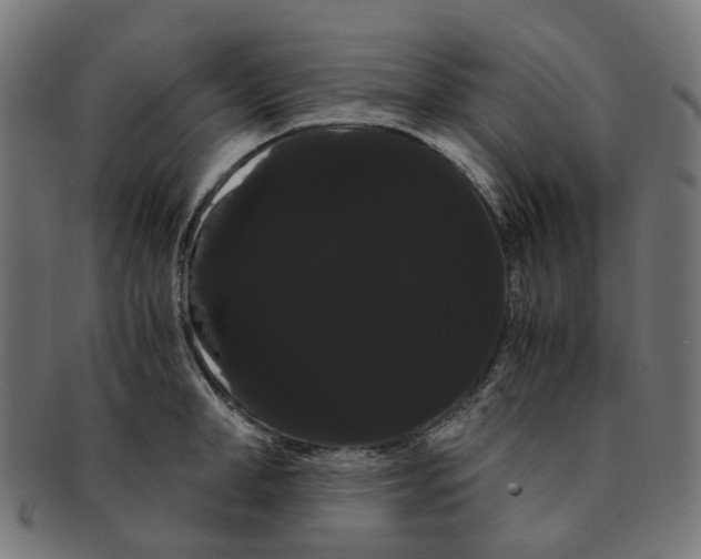 X0000091240998200709061536