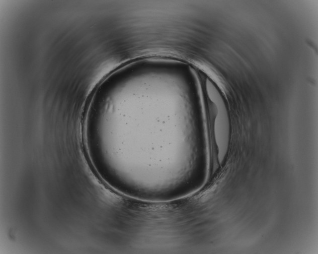 X0000091240999200709061536