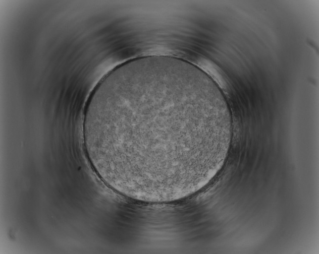 X0000091241000200709061536