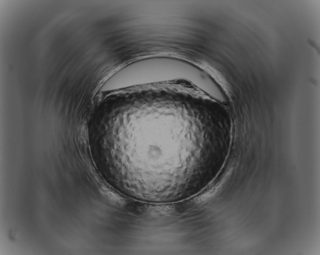 X0000091241001200709061536