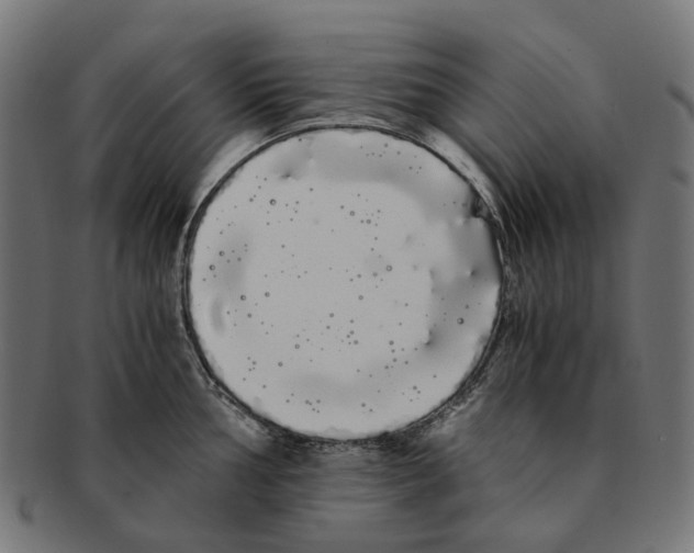 X0000091241002200709061536
