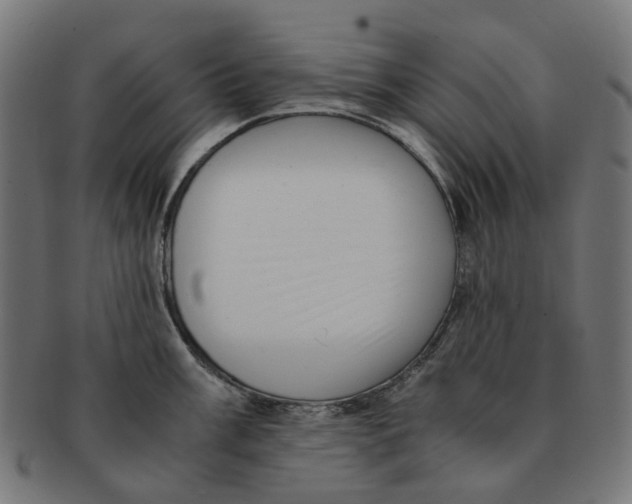 X0000091241003200709061536