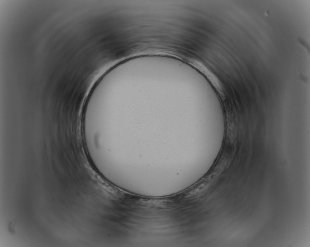 X0000091241004200709061536