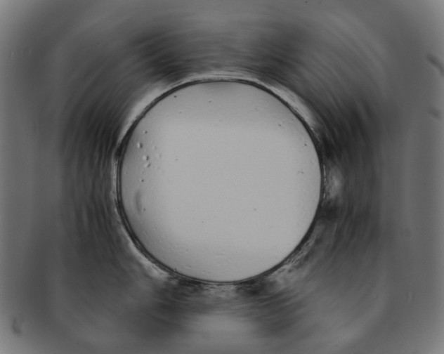 X0000091241006200709061536