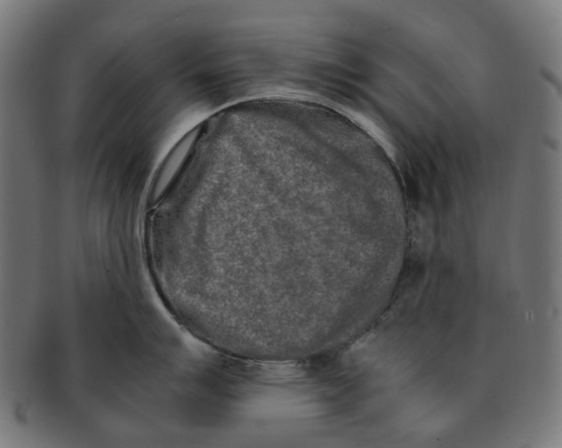 X0000091241007200709061536
