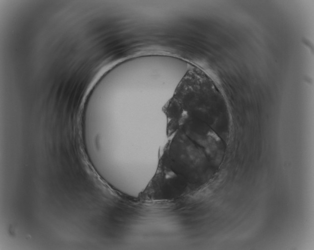 X0000091241008200709061536