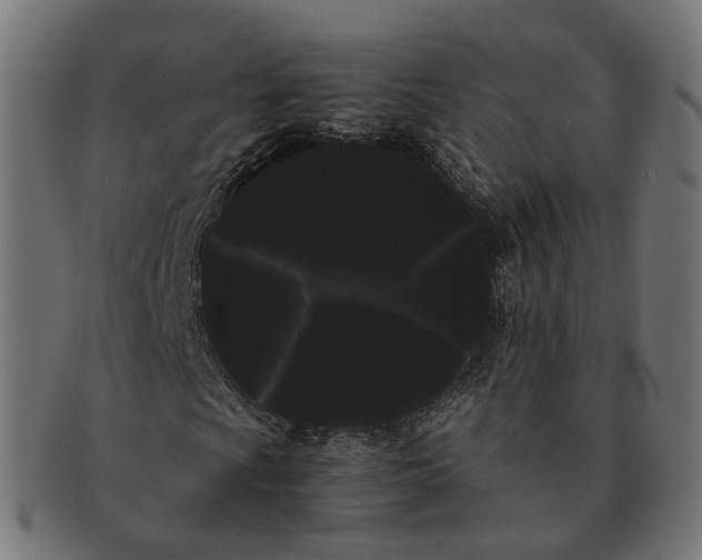 X0000091241009200709061535