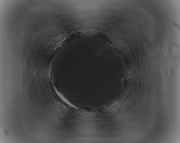 X0000091241010200709061535