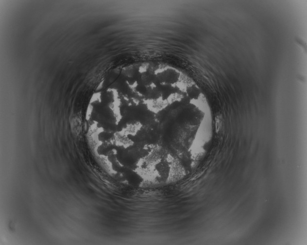 X0000091241011200709061535