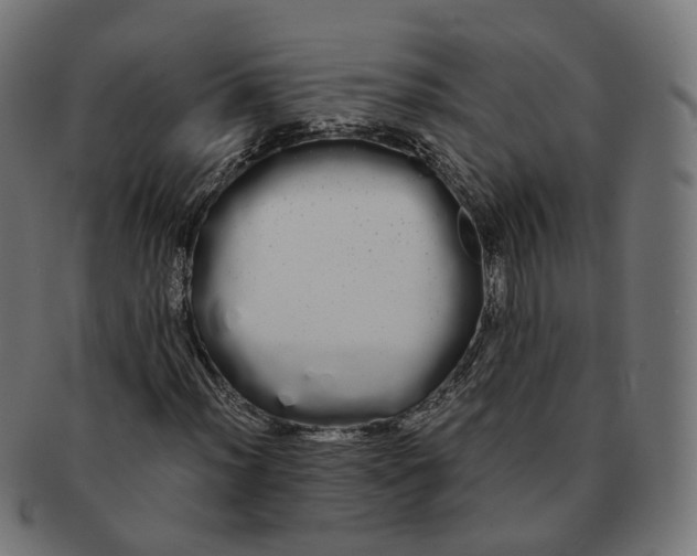 X0000091241012200709061535