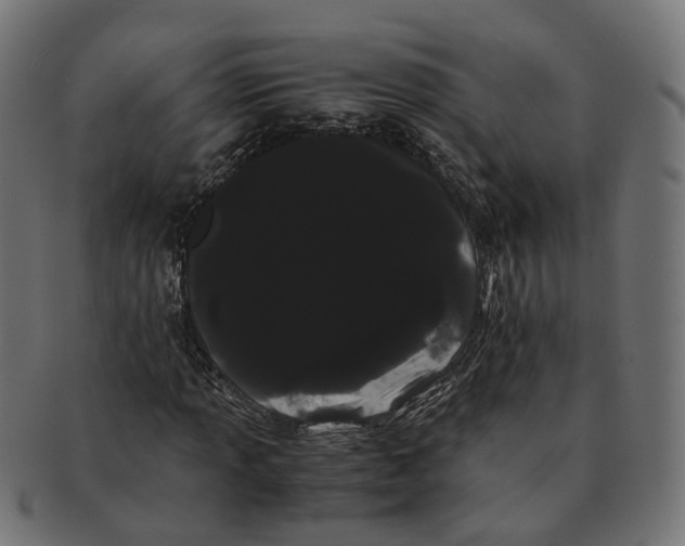 X0000091241013200709061535