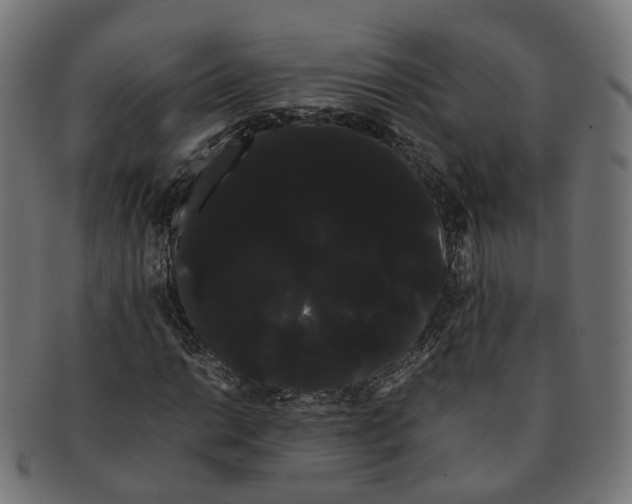 X0000091241014200709061535