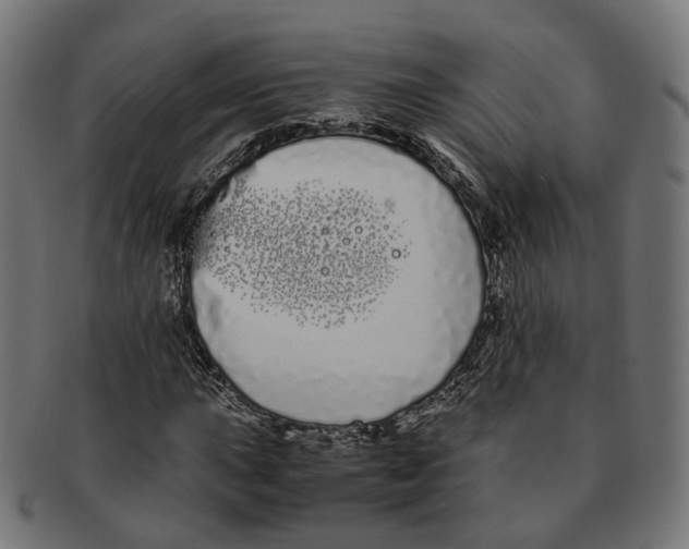 X0000091241015200709061535