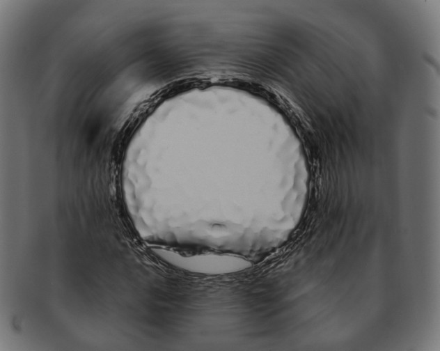 X0000091241016200709061535