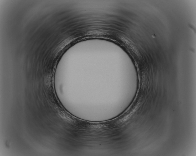 X0000091241017200709061535