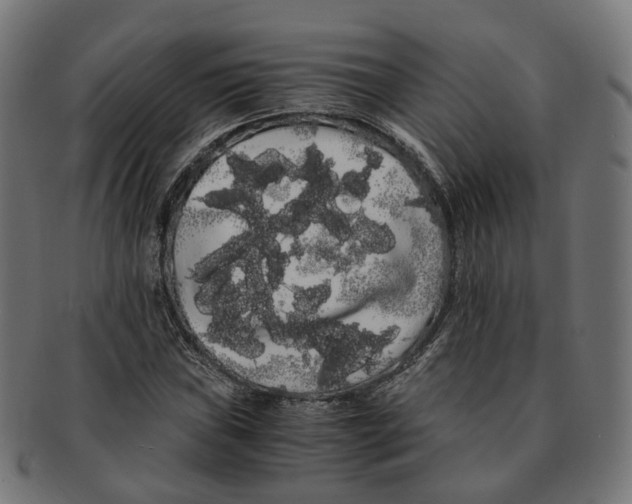 X0000091241019200709061535