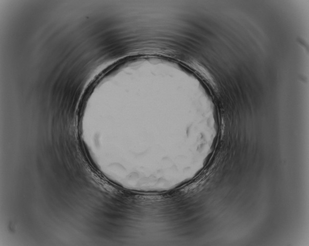 X0000091241020200709061535