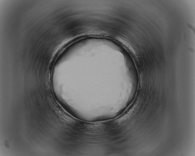 X0000091241021200709061535