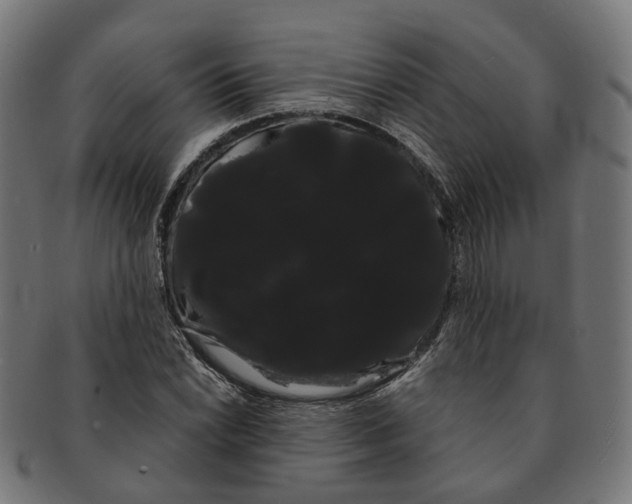 X0000091241022200709061535