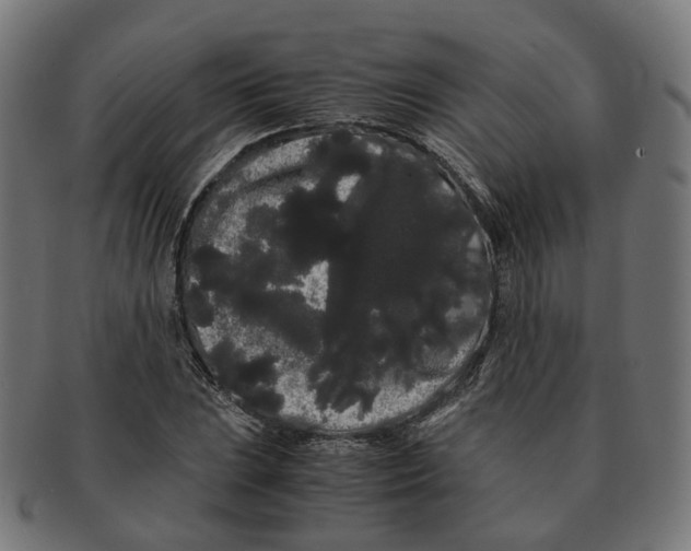 X0000091241023200709061535
