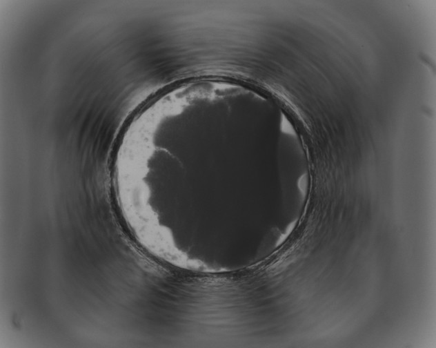 X0000091241024200709061535