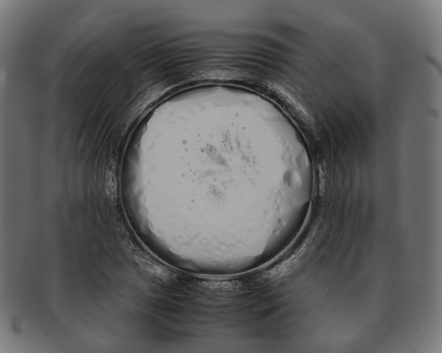 X0000091241025200709061535