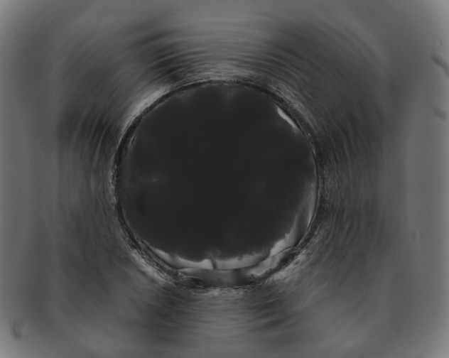 X0000091241026200709061535