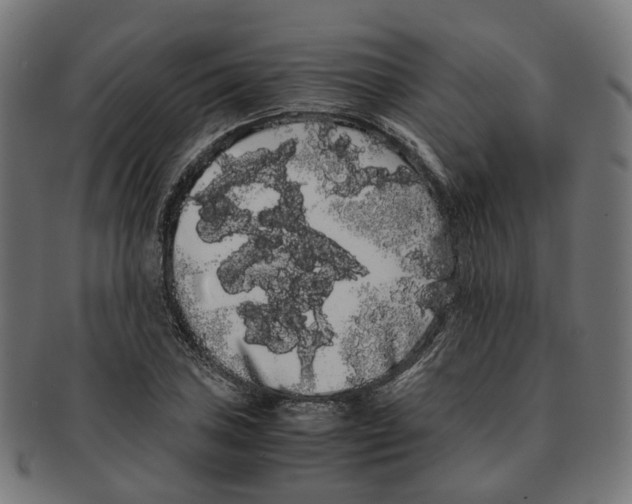 X0000091241027200709061535