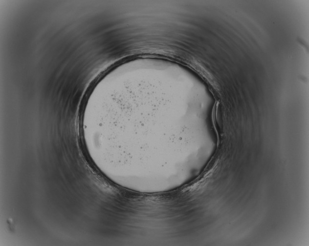 X0000091241028200709061535