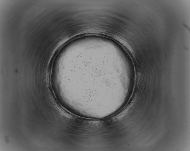 X0000091241029200709061535