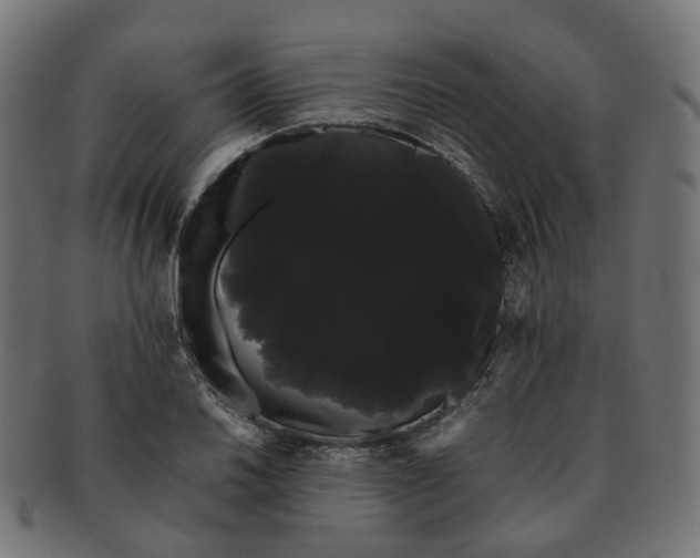 X0000091241030200709061535