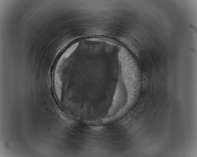 X0000091241031200709061535