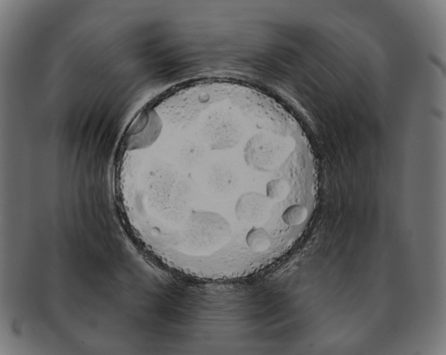 X0000091241032200709061535